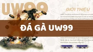 da ga uw99